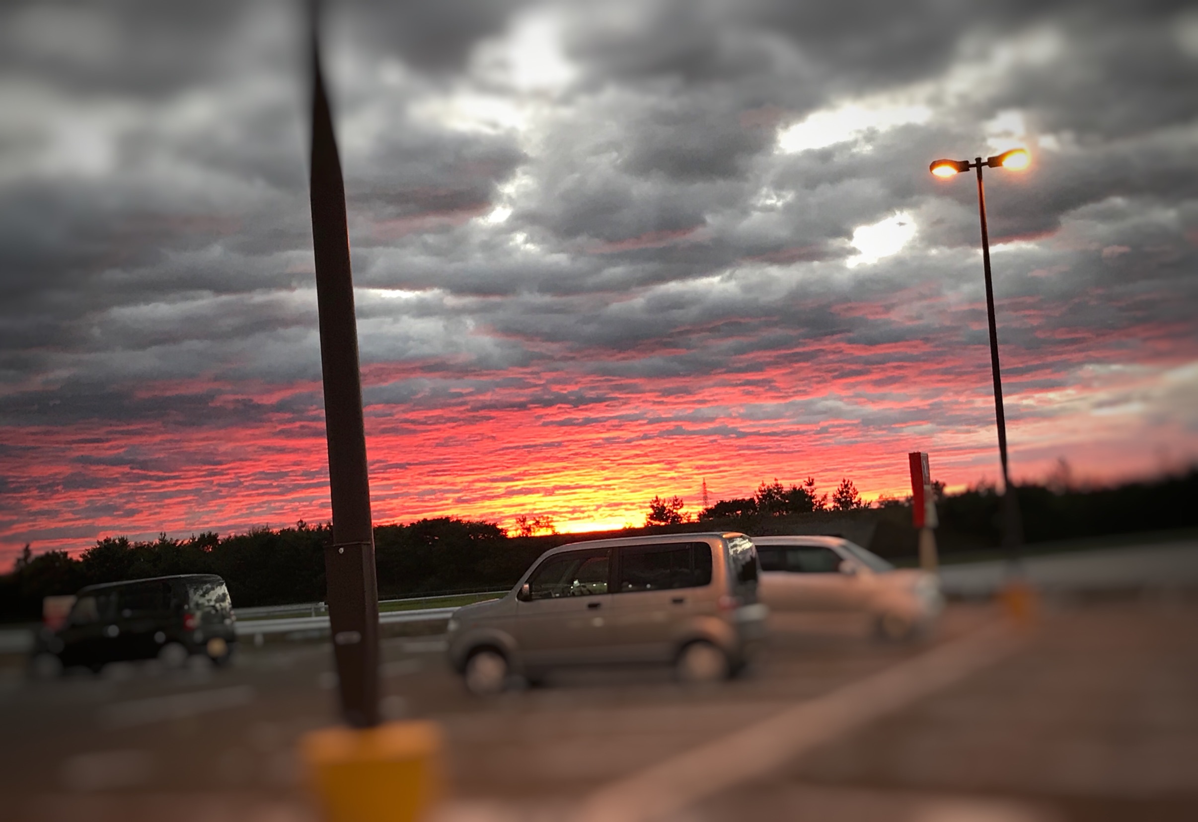16981E2D-B89B-4C3C-B2BF-9F39E7F689DF.jpg
